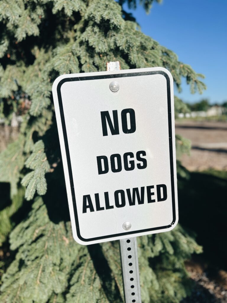 no dog park